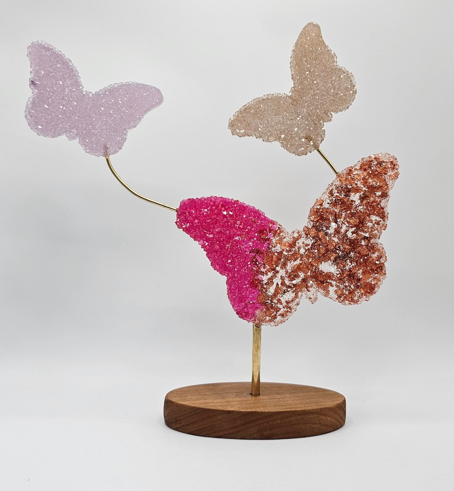 Composition avec papillons