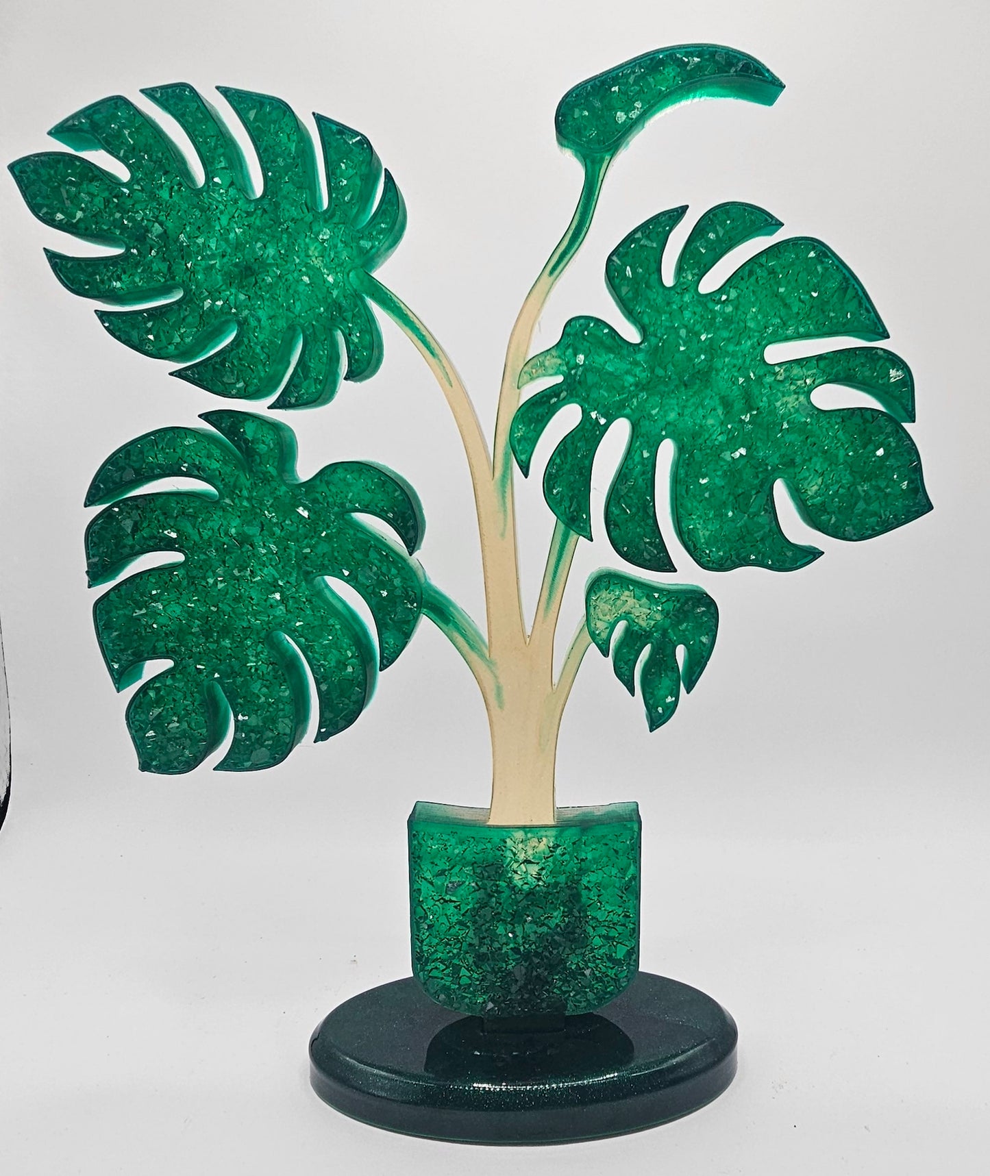 Monstera effet diamant