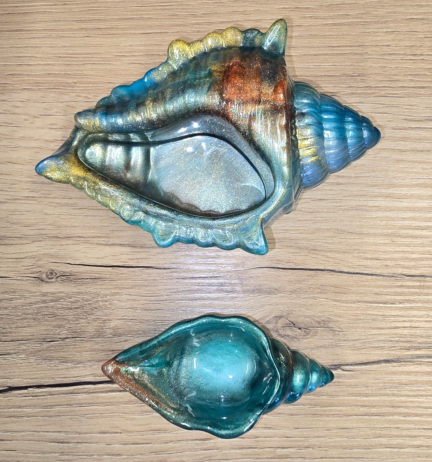 Coquillage décoratif